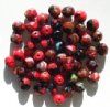 Misc Faceted Beads